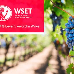 corso wset 1 livello