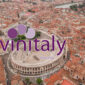 Vinitaly Verona